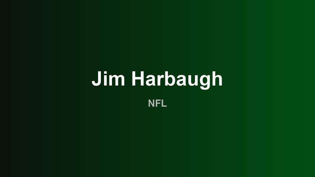 Jim Harbaugh - NFL