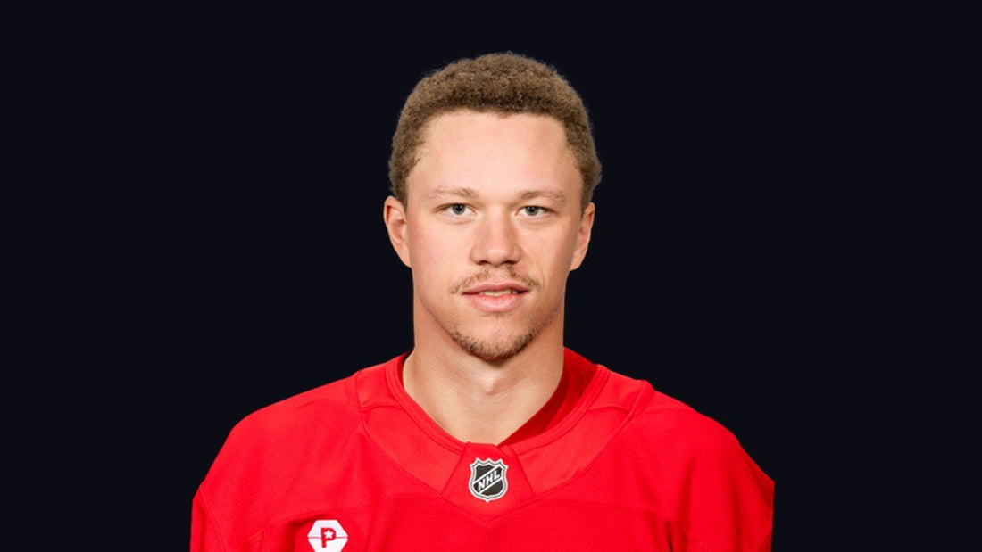 Lucas Raymond - NHL